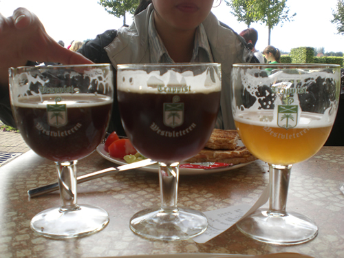 3 Westy's: 12, 8 & 6 - Sint Sixtus, Westvleteren, Belgium
